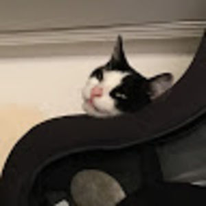 Meet your Posher, Alex